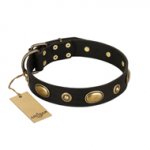"Eye-Catcher" FDT Artisan Black Leather dog Collar for Walking in Style