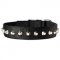 Beautiful Wide Nylon Dog Collar With Nickel Pyramids