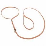 'Champion' Nylon Dog Show Collar & Lead Set