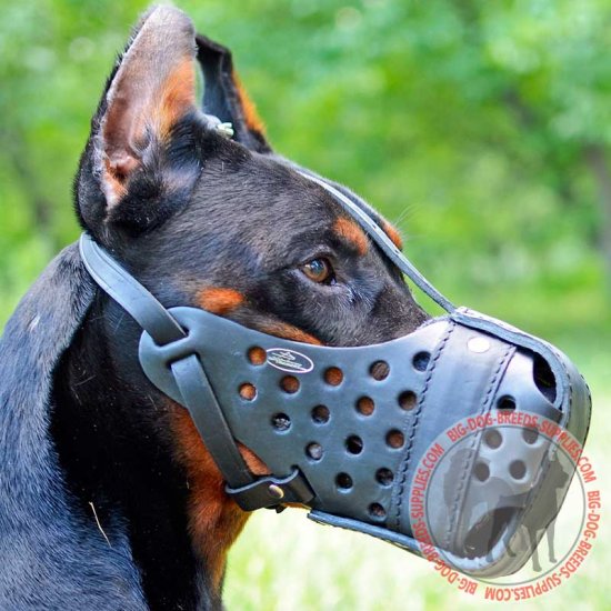 small dog muzzles for biting