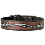 Handpainted Leather Dog Collar for Walking and Training