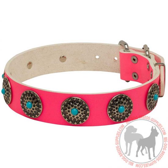 leather female dog collars