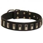 Fashion Leather Dog Collar with Vertical Nickel Plates