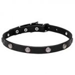 "Antique Flowers" Leather Dog Collar with Chrome Plated Steel Elegant Studs - 4/5 inches (20 mm)