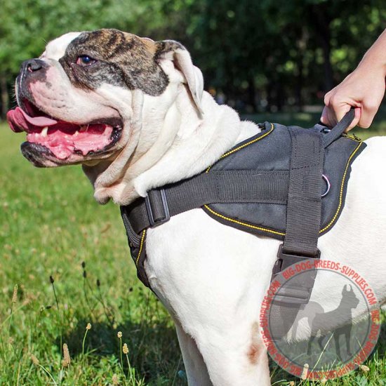 nylon tracking harness