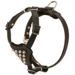 Leather Studded Dog Harness for Puppy Walking