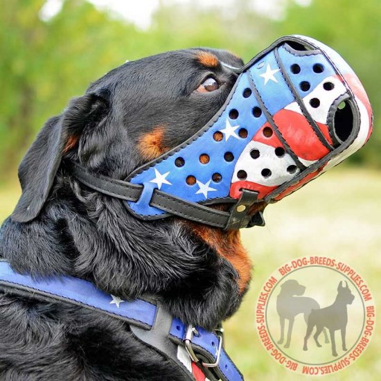 dog muzzle for rottweiler
