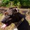 Fully Leathern Pitbull Collar with Awesome Decoration
