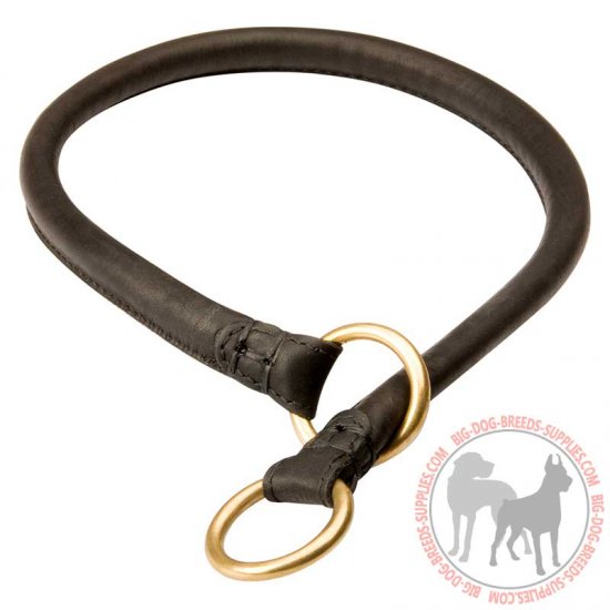 dog training choke collar