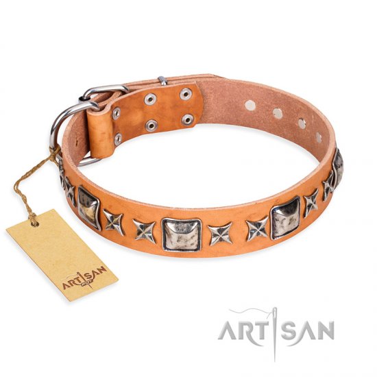 leather female dog collars