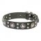 'Rock n Roll' Leather Dog Collar with Stud Decorations