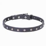 "Stellar" Leather Dog Collar with Silver-like Stars Adornment
