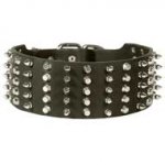 Extra Wide Decorated Leather Dog Collar