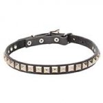 "King Studs" Leather Dog Collar with Chrome Plated Decorations