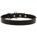 Walking Smooth Leather Dog Collar for Every Day