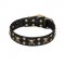 'Jolly Rojer' FDT Artisan Leather Dog Collar with Pirate Skulls and Studs for Walking Big Dog Breeds
