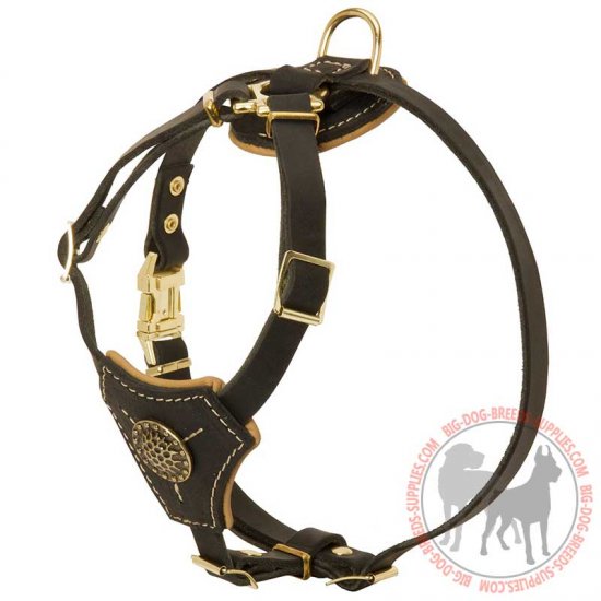 small leather dog harness