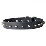 First-rate Fashionable Leather Spiked Dog Collar