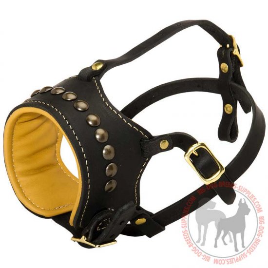 leather dog muzzle