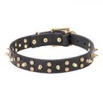 "Space Travel" Leather Dog Collar - Brass Stars and Spikes Decoration