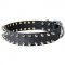 Fashionable Walking Leather Spiked Dog Collar