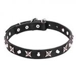 "Blazing Stars" Leather Dog Collar with Silver-color Stars and Pyramids - 4/5 inch (25 mm)