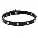 "Beauty & Elegance" Leather Canine Collar with Chrome Plated Adornment