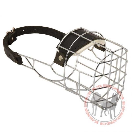 Order the Best Wire Basket Muzzle Dog Walking Training
