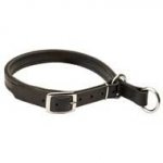 Training Leather Slip Dog Collar with Nicklel Hardware