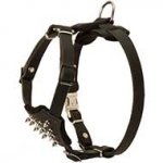 Decorated Leather Dog Harness For Your Puppy