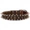 Exquisite Spiked and Studded Leather Dog Collar