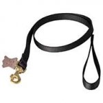 Heavy Duty Dog Leash with Swivel Snap Hook