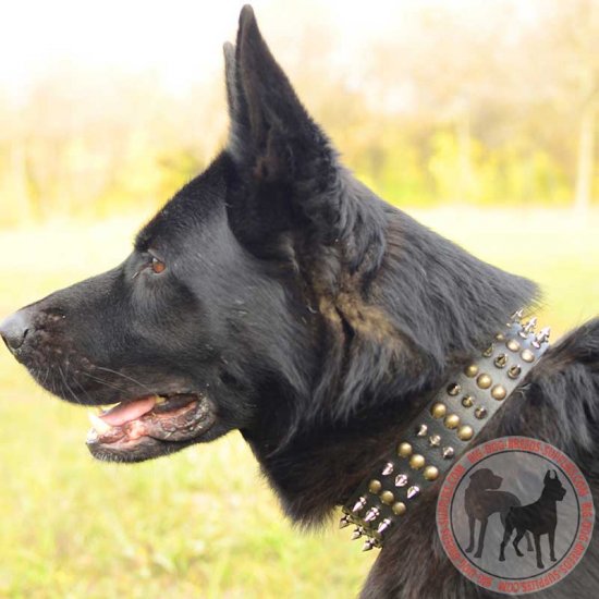 german shepherd leather collar