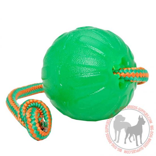 floating dog ball