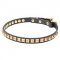 "Necklace-like" Narrow Dog Leather Collar for Elegant Performing