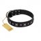 "Polar Lights" Designer FDT Artisan Black Leather dog Collar with Silver-Like Studs