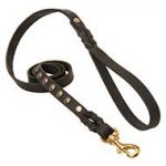 Staggering Leather Dog Leash with Brass Studs