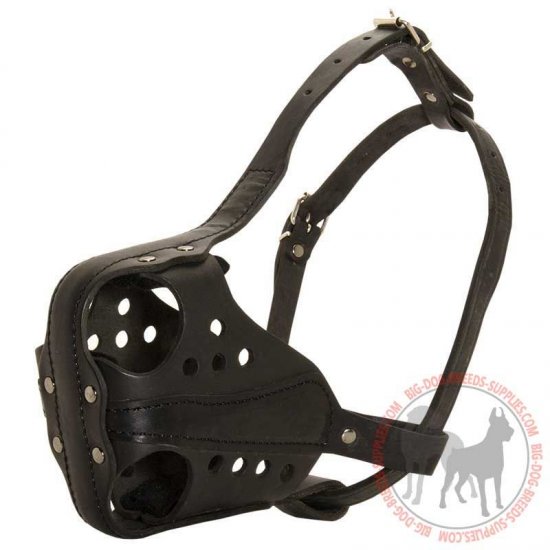 leather dog muzzle