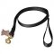 Heavy Duty Dog Leash with Swivel Snap Hook