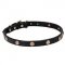 Leather Dog Collar with Engraved "Sunny Beams" Studs