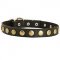 Training and Walking Studded Leather Dog Collar