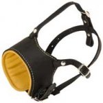 Adjustable Padded Leather Dog Muzzle for Walking and Training
