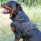 Lightweight Adjustable Nylon Rottweiler Harness with Handle for Pulling, Walking and Training