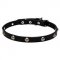 "Lucky" 20 mm Leather Big Dog Collar Decorated with Nickel Plated Leaf Studs