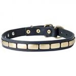 Walking and Training Brass Plated Leather Dog Collar