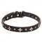 "Milky Way" Leather Dog Collar with Old-like Studs and Stars - 1 inch (25 mm)