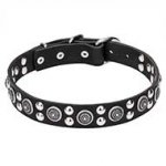 "Galactic Style" Leather Dog Collar with Silver-color Fittings