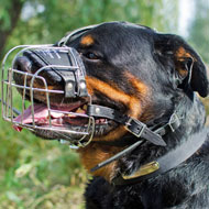 Adjustable Basket Wire Rottweiler Muzzle Light
