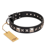 'Space Walk' FDT Artisan Black Leather Dog Collar with Adornments for Walking Big Dog Breeds