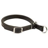 Training Leather Slip Dog Collar with Nicklel Hardware